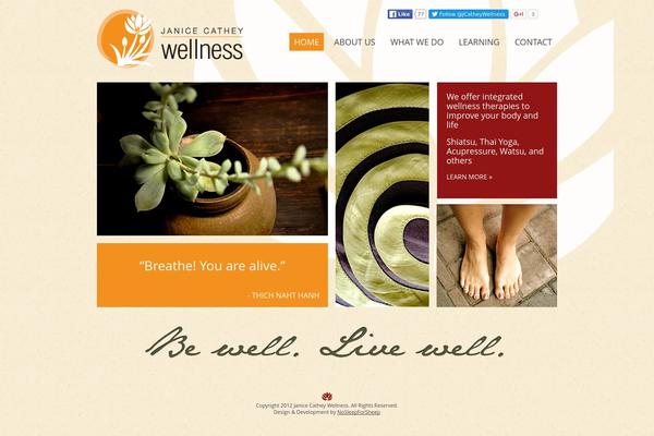janicecatheywellness.com site used Jcw