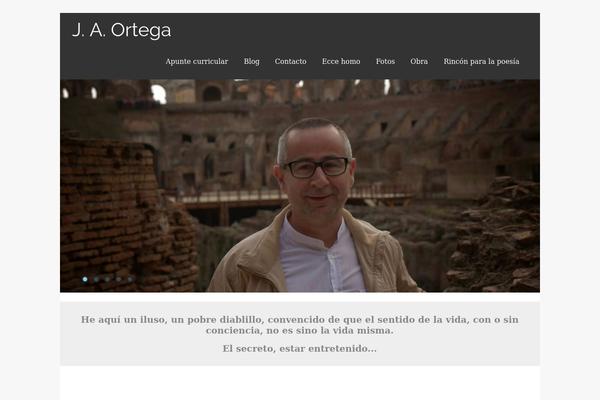 Asteria Lite theme site design template sample