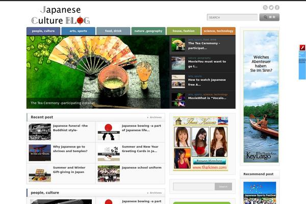 Opinion_tcd018 theme site design template sample