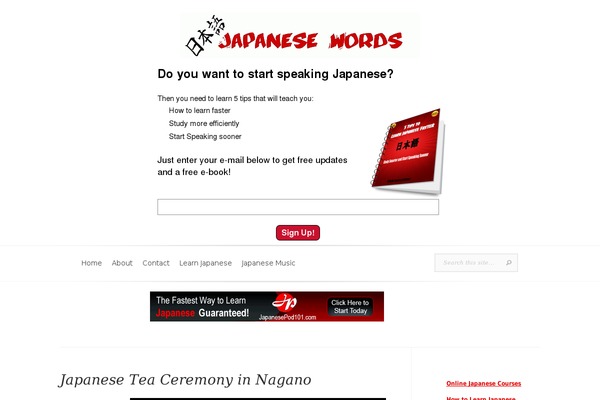 Evolution theme site design template sample