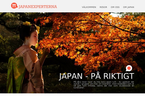 Site using FancyBox for WordPress plugin