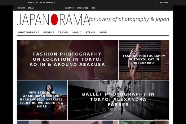 15Zine theme site design template sample