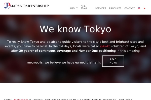 Parallax Pro theme site design template sample