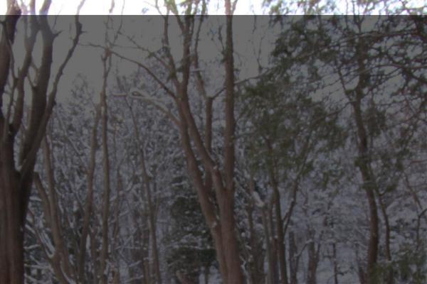Jt theme site design template sample