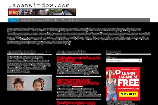 WP-Blossom  v1.02 theme site design template sample