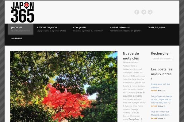 PinThis theme site design template sample