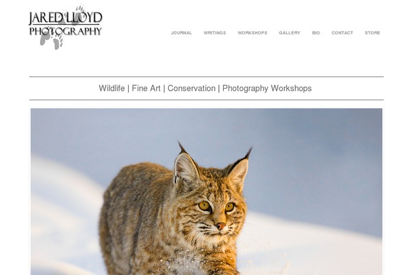 Photocrati theme site design template sample