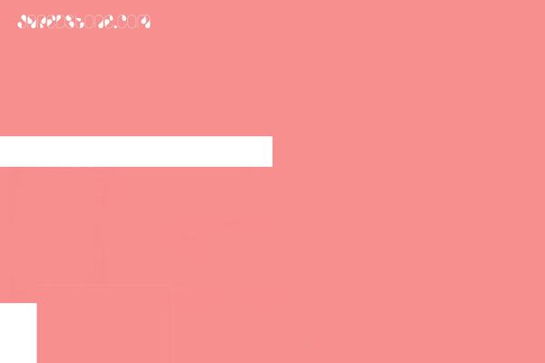 Lekker theme site design template sample