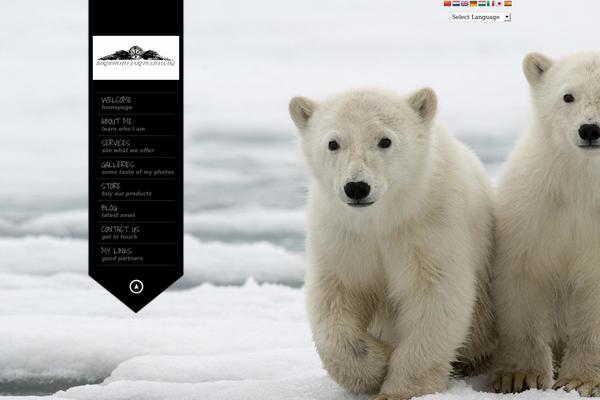 King Size theme site design template sample