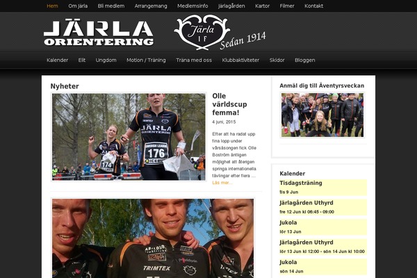 Magazine theme site design template sample