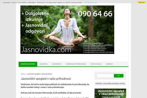 Iconic One Pro theme site design template sample