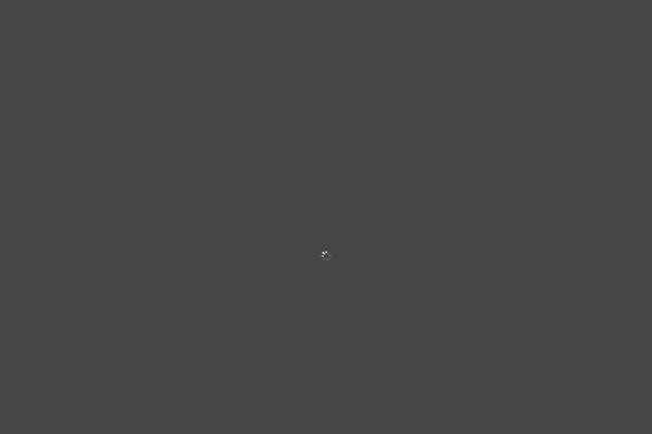 Site using Divi-pixel plugin