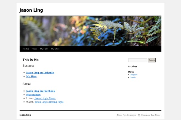 jasonling.com site used Wpcom-themes
