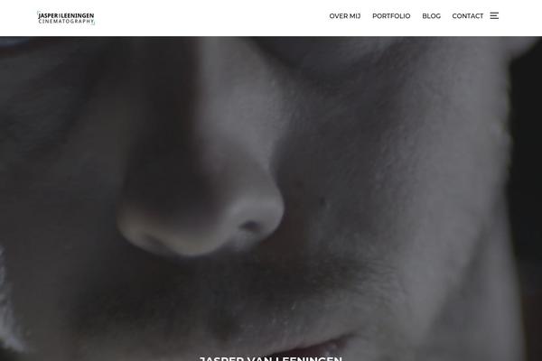 Site using Social Icons Widget by WPZOOM plugin