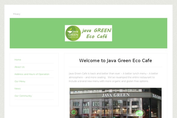 Lifestyle Pro theme site design template sample