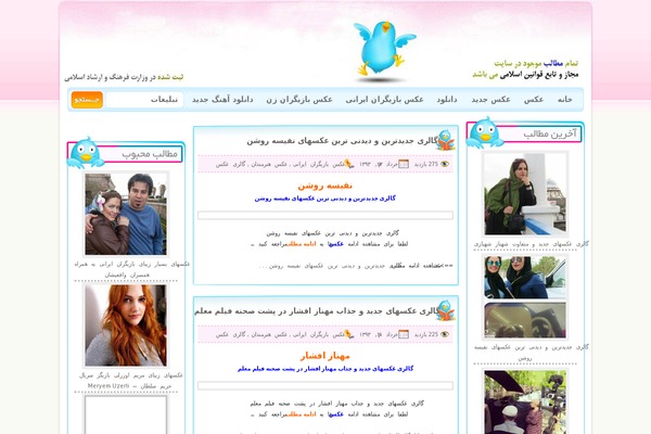 javani-theme theme websites examples
