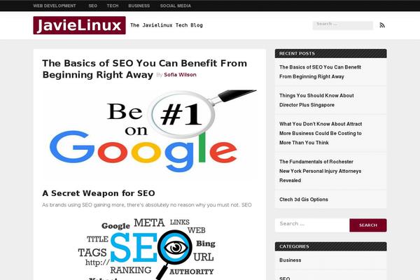 javielinux.com site used Stripay