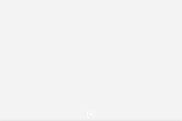 Pro theme site design template sample