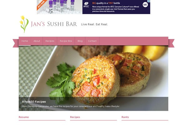 Donovan theme site design template sample