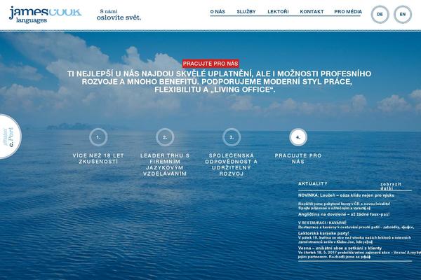 Cook theme websites examples