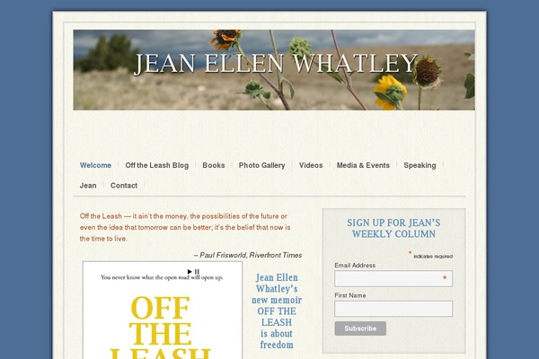 Site using Lightweight Social Icons plugin