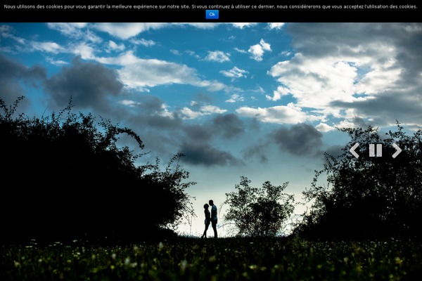 PhotoReactive theme site design template sample