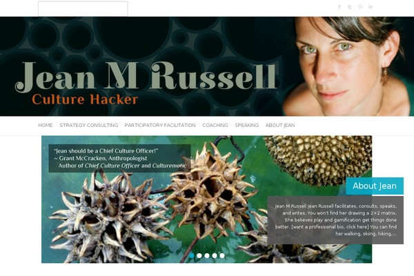 Zerif Lite theme site design template sample