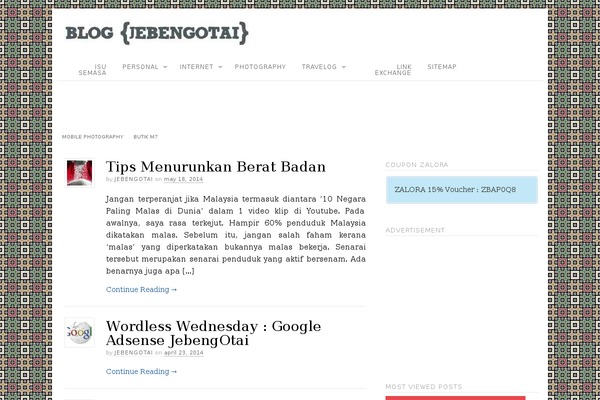 Site using The-grid plugin