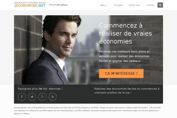 SteadyIncome theme site design template sample