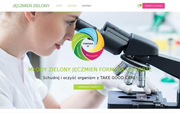 BeTheme theme site design template sample