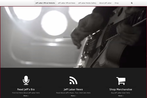 Site using Dms-plugin-pro plugin