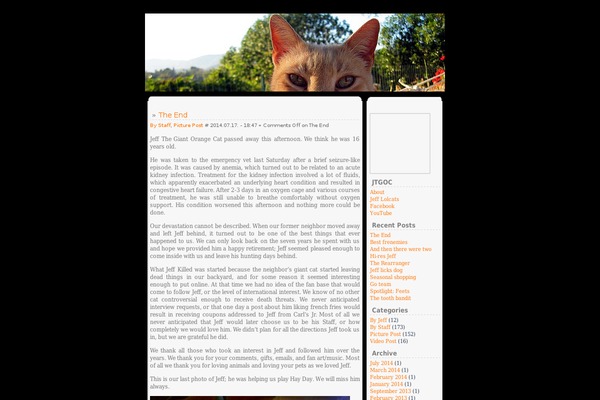 jeffthegiantorangecat.com site used Sunflower