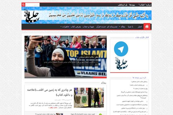 Sahifa-wpcity theme site design template sample