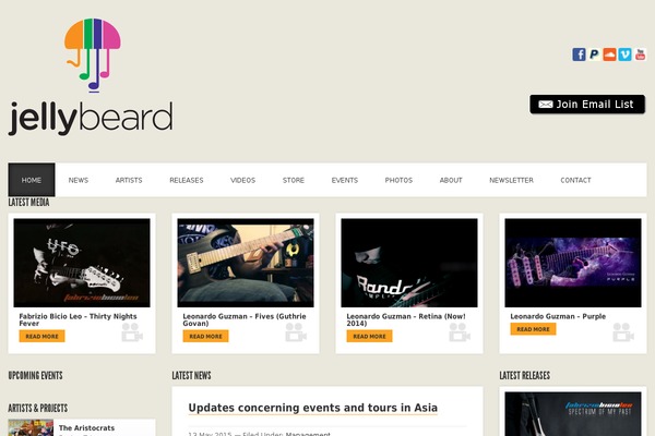Acoustic theme site design template sample