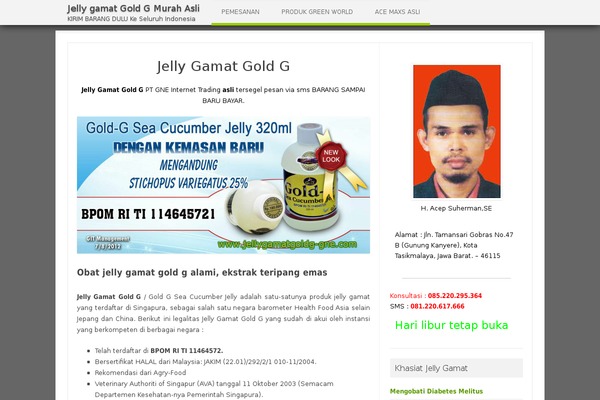 Iconic One theme site design template sample