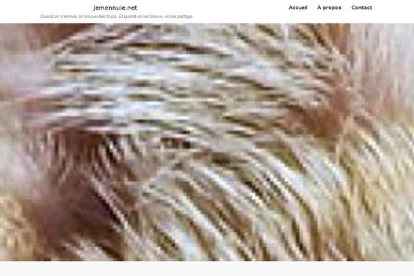 jemennuie.net site used Faceblog