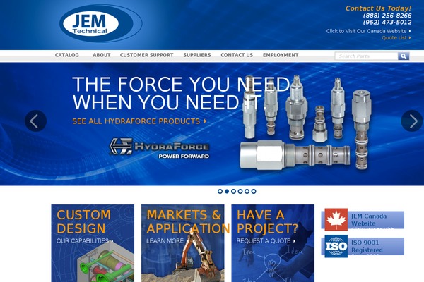 Cognoblue theme site design template sample