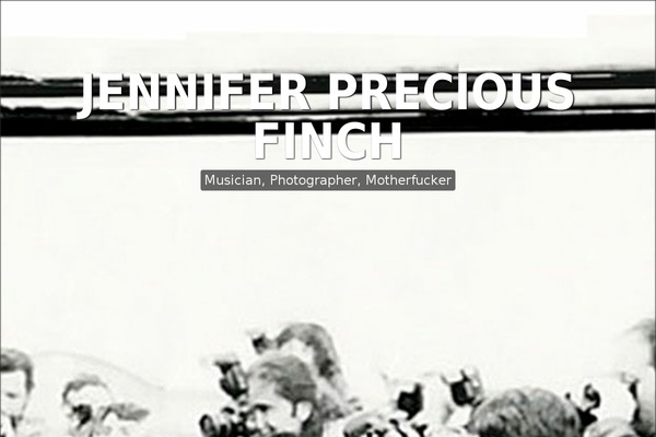 Site using Font Awesome More Icons plugin