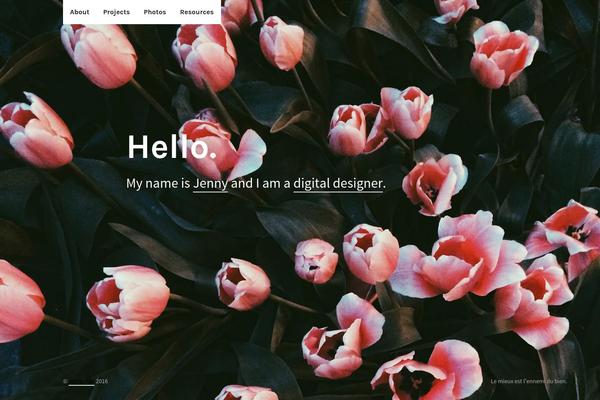 jennyfan.com site used Cmyk