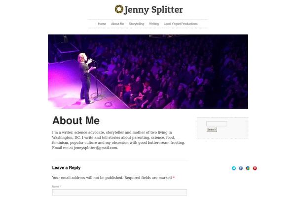 WordPress website example screenshot