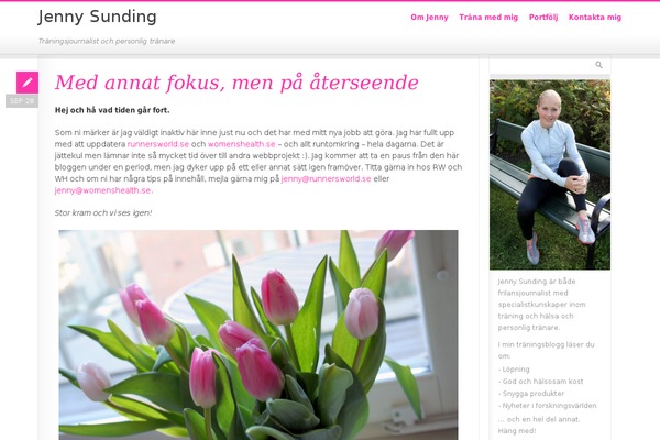 Pixelpower theme site design template sample