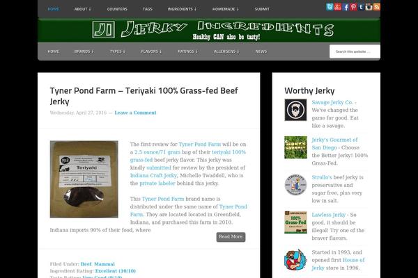 Enterprise Pro theme site design template sample
