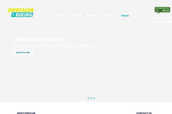 Site using WP Social Widget plugin
