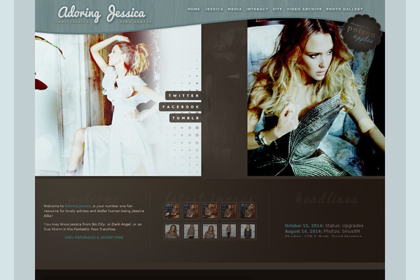 Three theme site design template sample