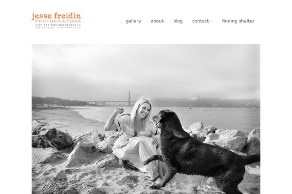 Büro theme site design template sample