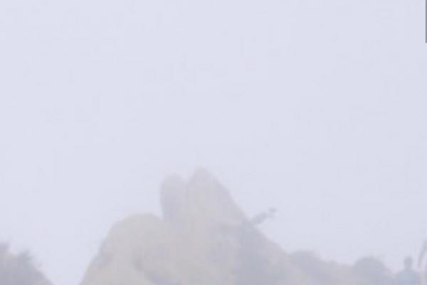 Moesia theme site design template sample