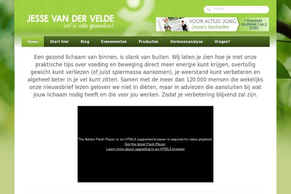 Jay theme site design template sample