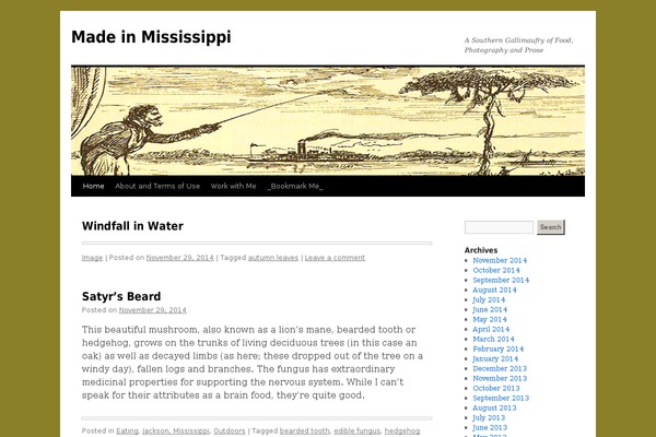 Misty Lake theme site design template sample