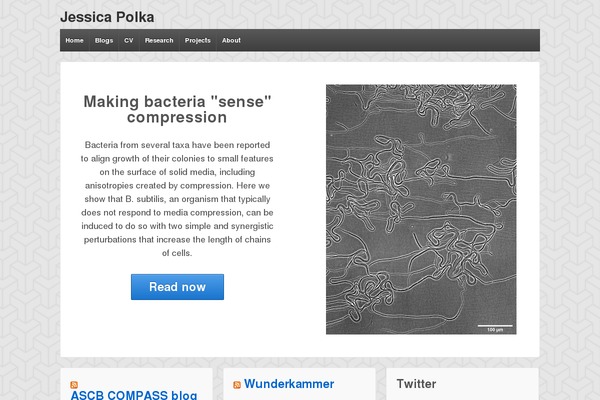 Site using ImpactPubs plugin
