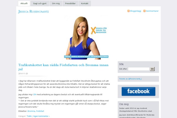 Misty Look theme site design template sample